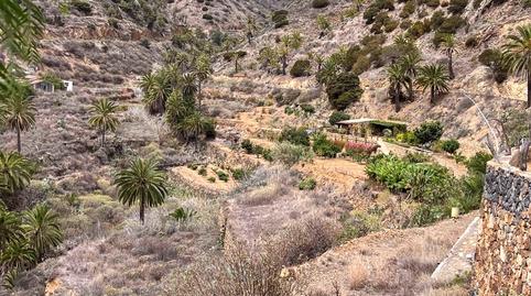 Foto 5 de Finca rústica en venta en Calle Ladera Cementerio, -1, Vallehermoso, Santa Cruz de Tenerife