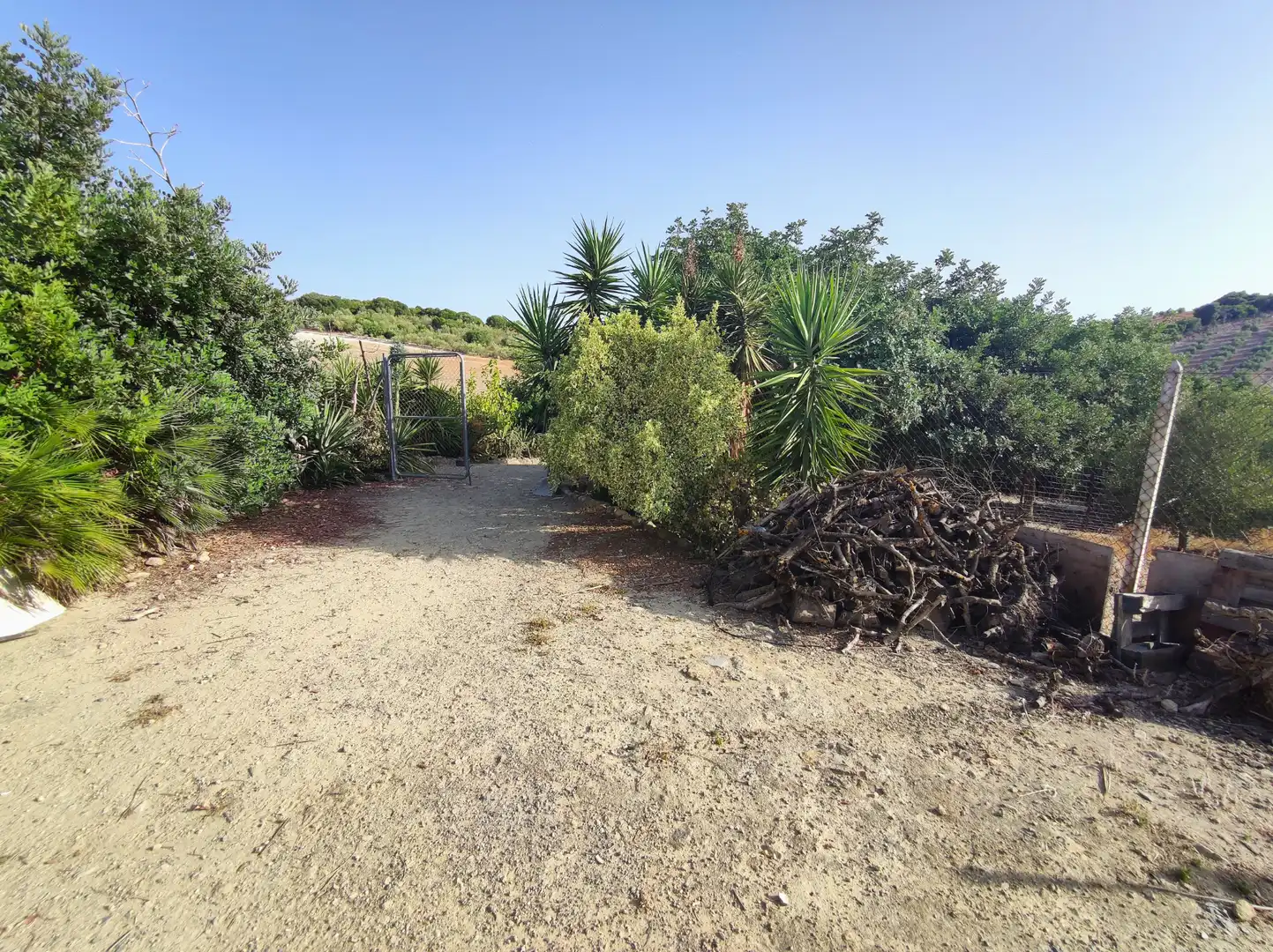 Terreno en venta en El Cuervo de Sevilla