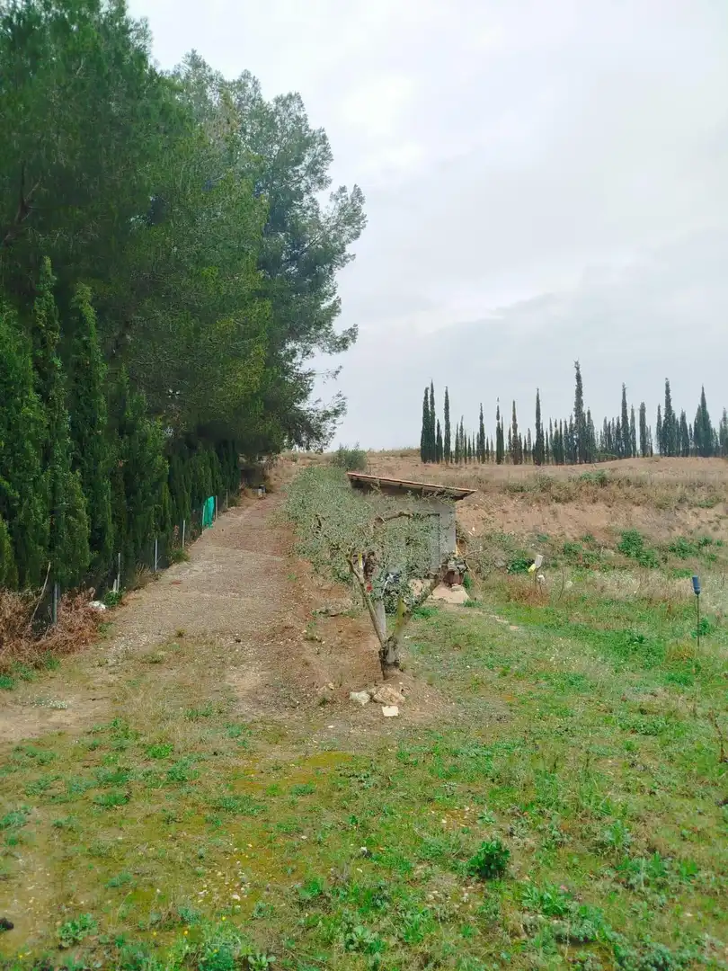 Terrain rustique à vendre à Ginestar, imagen 66