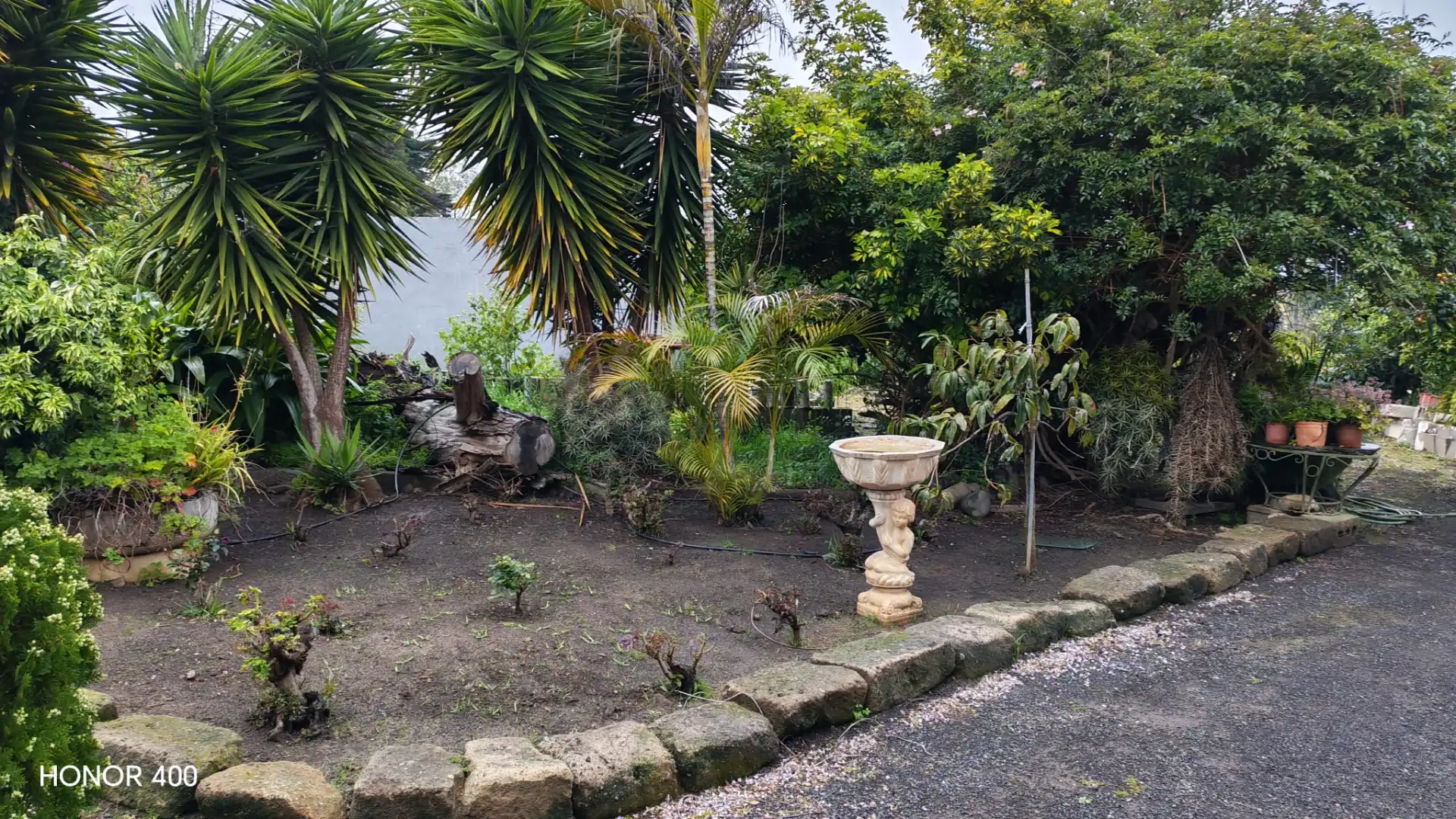 Jardín de Casa o chalet en venta en Valsequillo de Gran Canaria con Amueblado