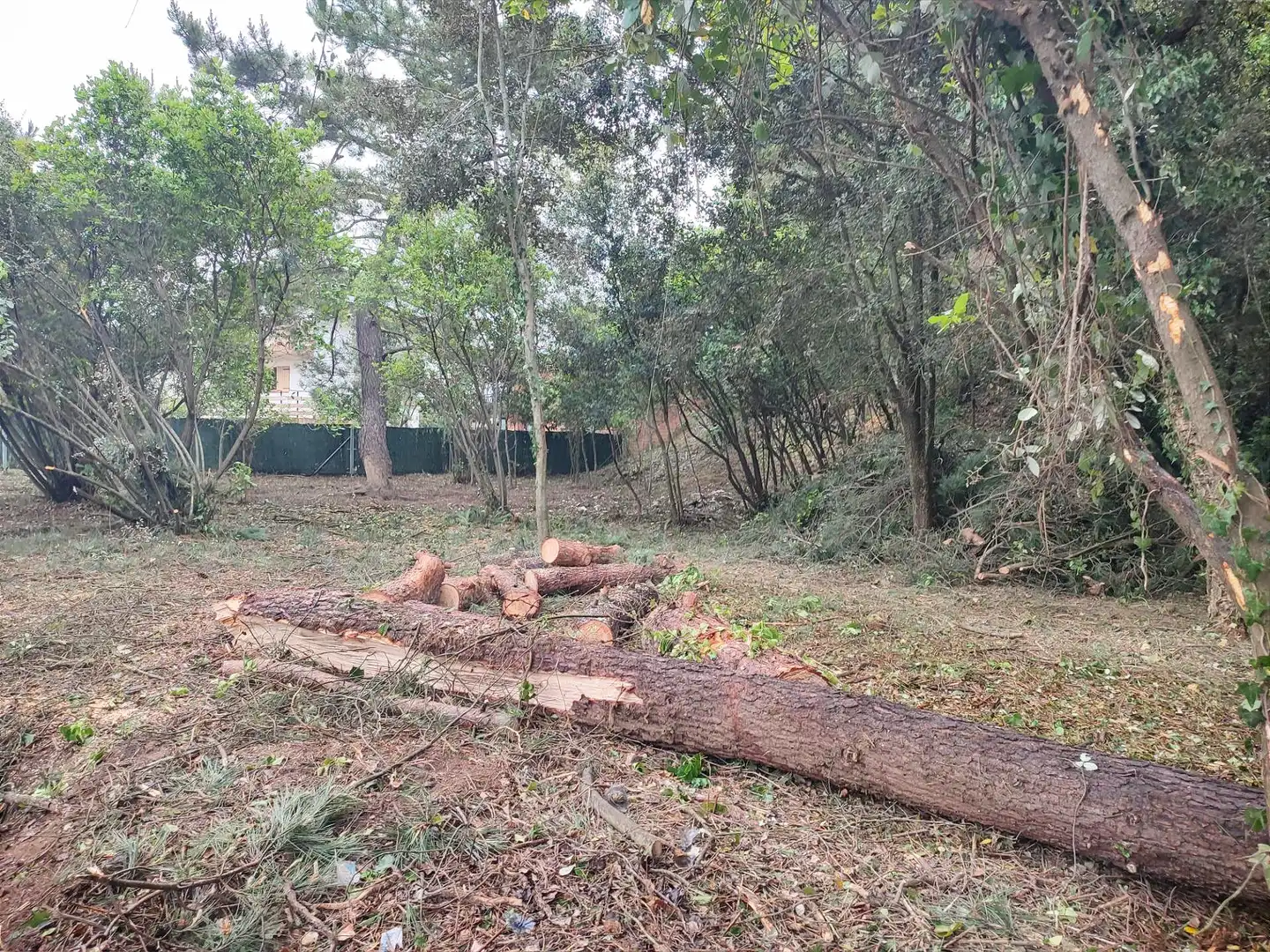Residential for sale in Vallgorguina