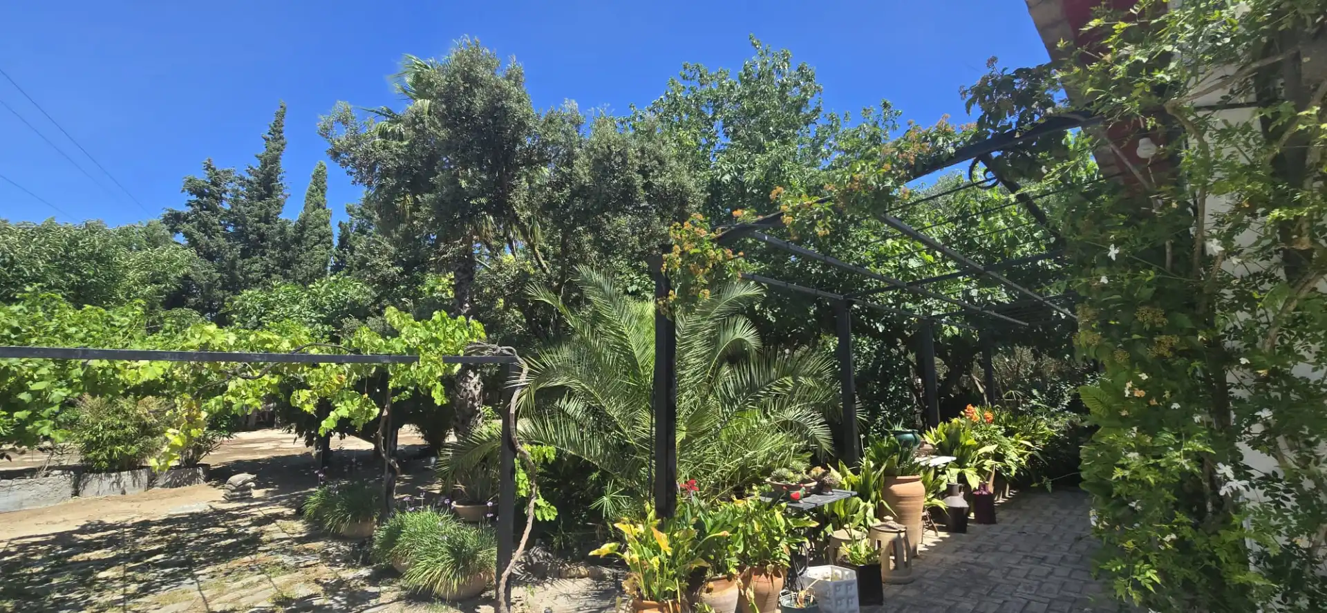 Garden of Houses for rent in Jerez de la Frontera  with Air Conditioner, Private garden and Swimming Pool