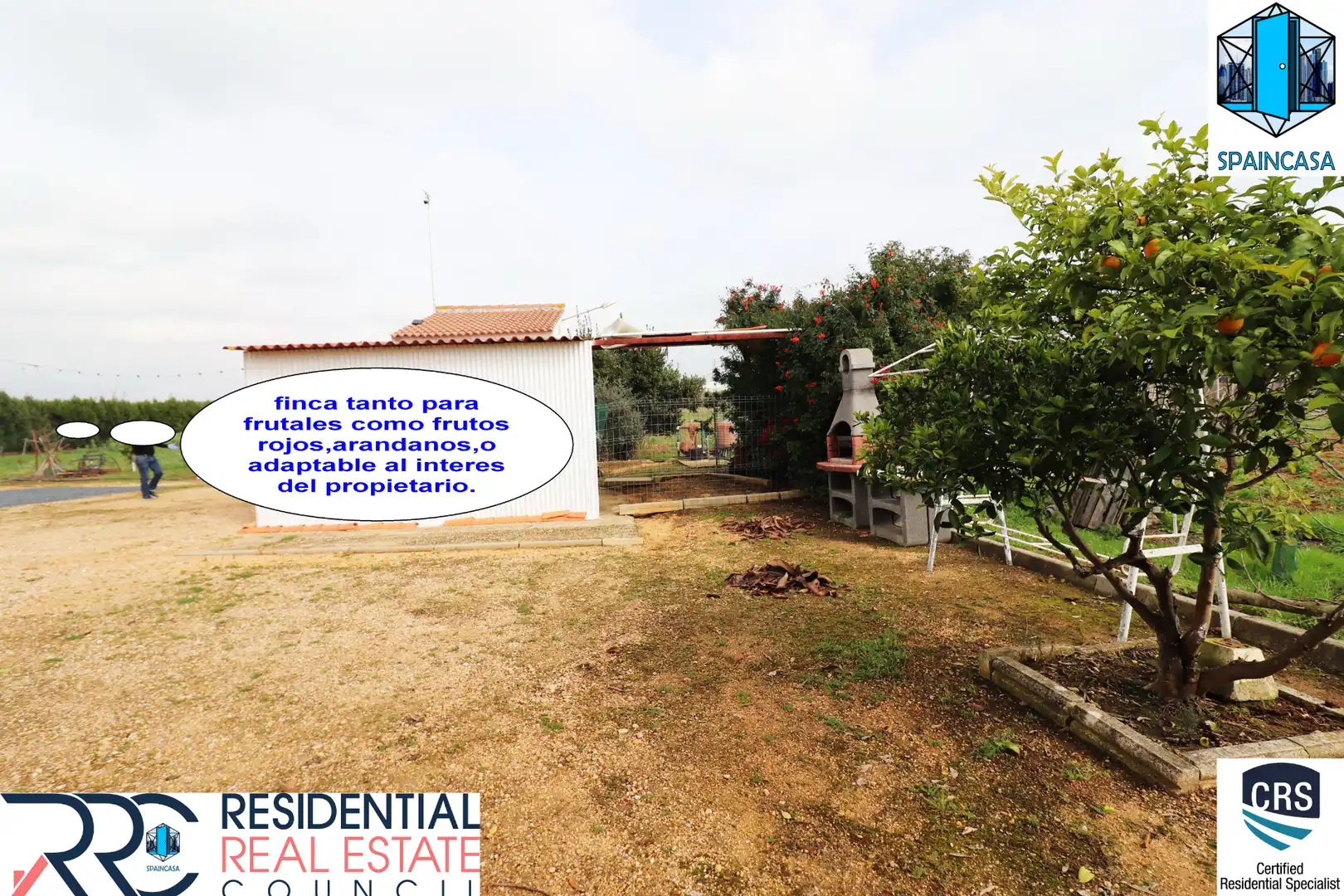 Chalet con piscina en venta en Calle Puente de la Mora, imagen 4