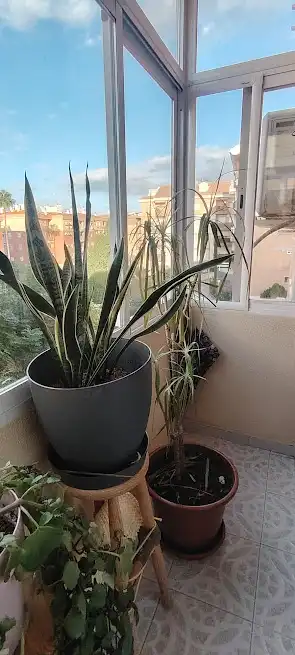 Terrasse von Wohnung zum Verkauf in Linares mit Klimaanlage, Heizung und Privatgarten