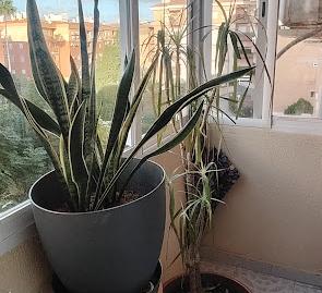 Photo 5 of Flat for sale in Calle Escultor Martínez Montañés, 0s, San Gonzalo, Linares