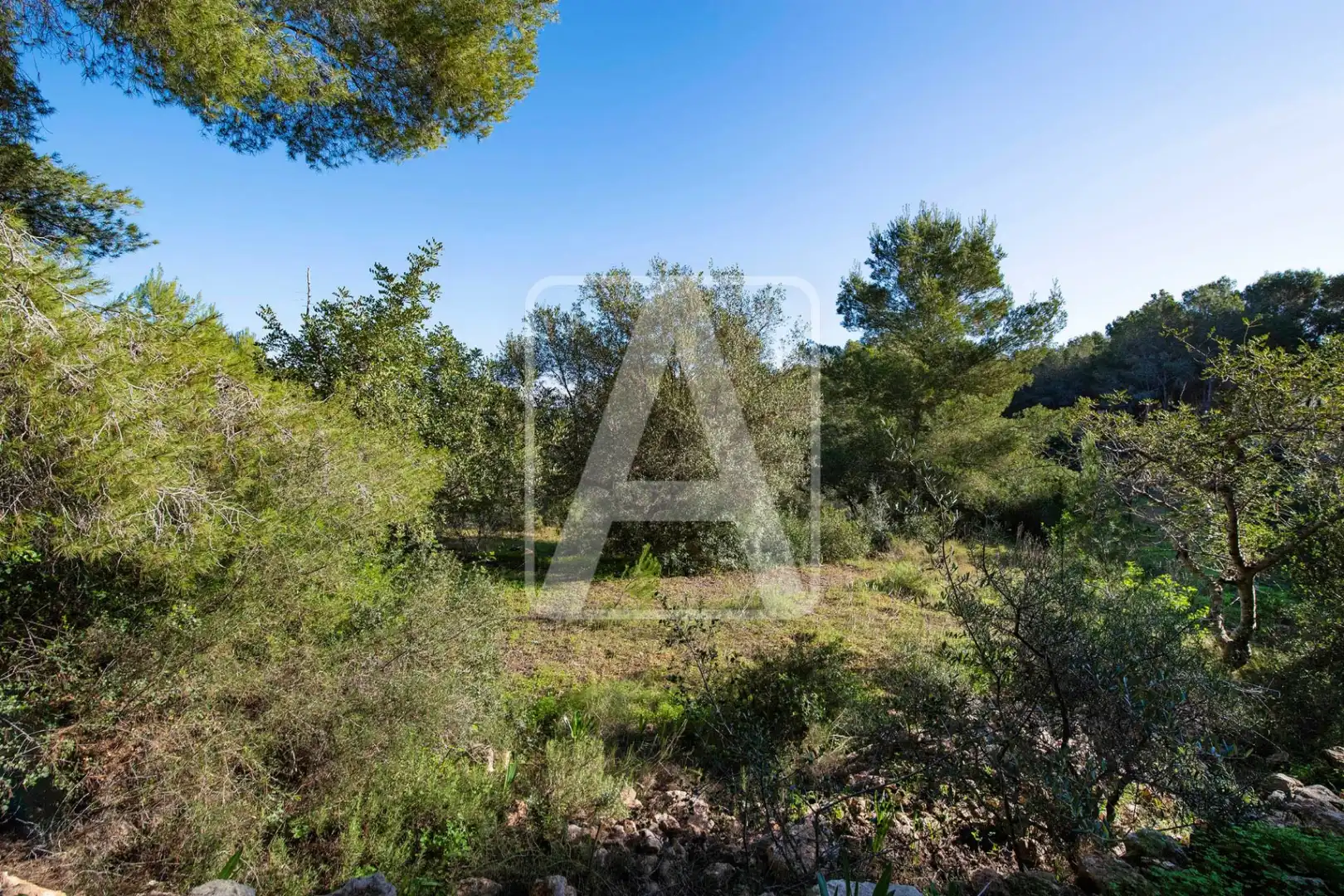Villa avec piscine à vendre à Cala Advocat - Baladrar, imagen 2