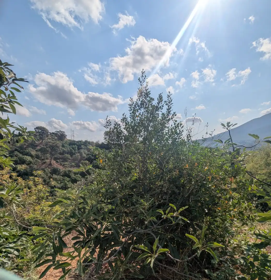 Terreno rustico in vendita a N/A, imagen 3