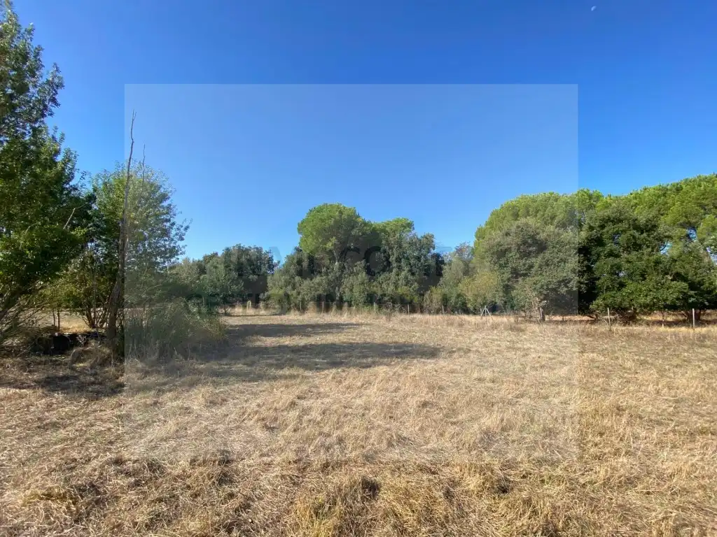Country house for sale in Calle Salellas, imagen 30