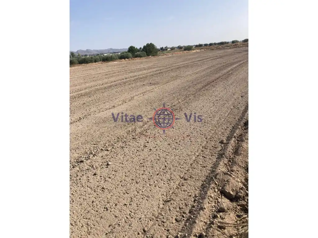 Terreny residencial en venda a Diseminados Cazalla