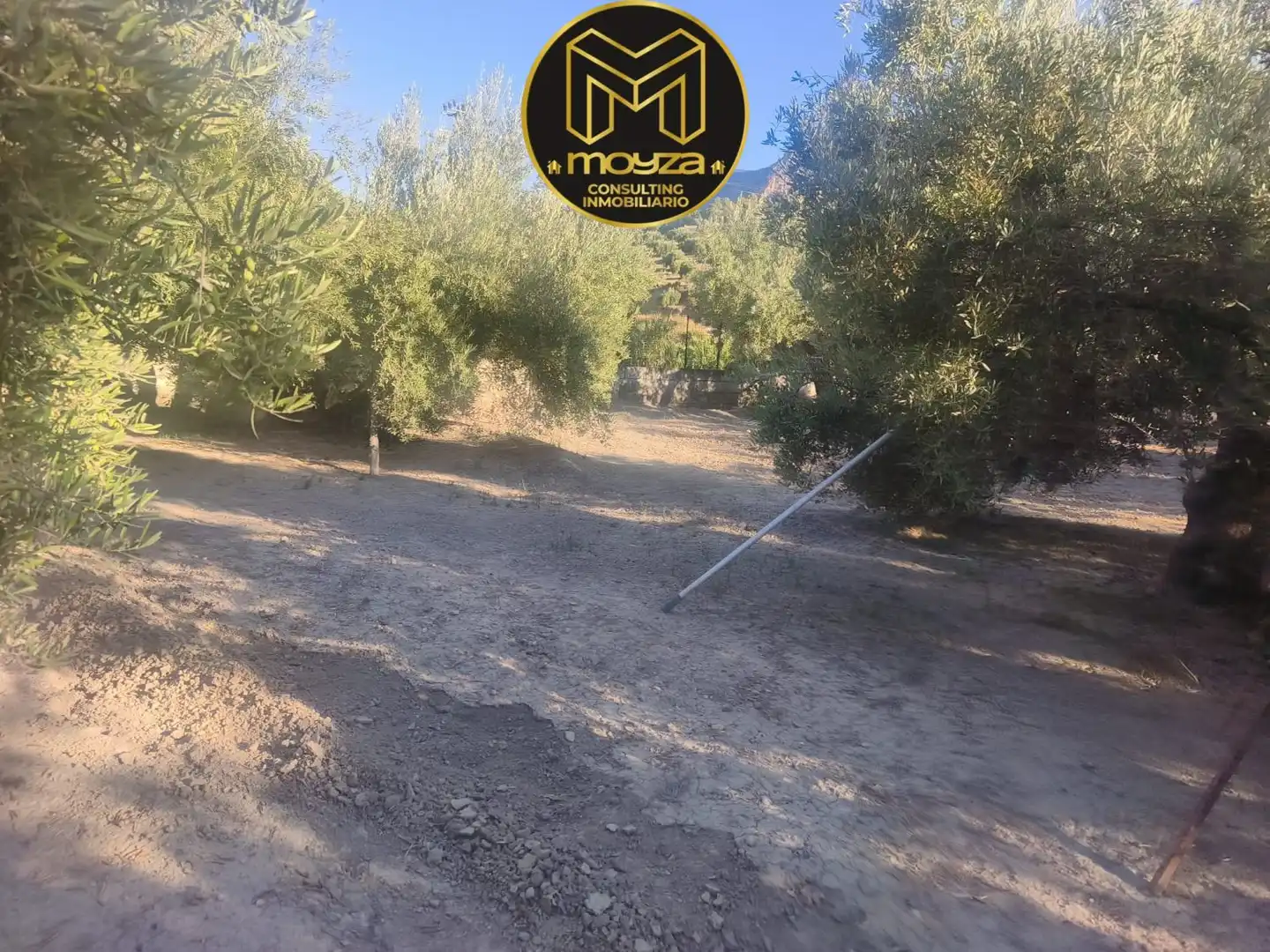 Villa à vendre à La Guardia de Jaén, imagen 6