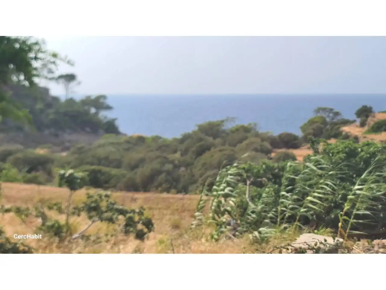Country homes for sale in Estellencs  with Private garden, Terrace and Swimming Pool