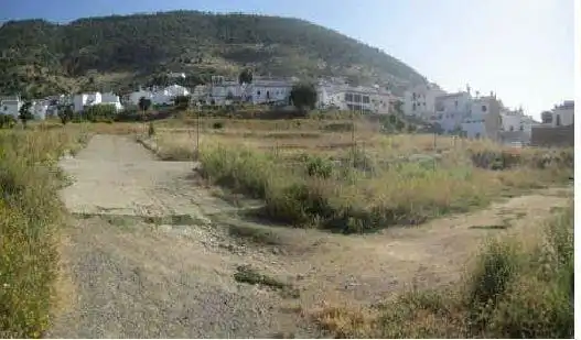 Terreny rústic en venda a Algodonales