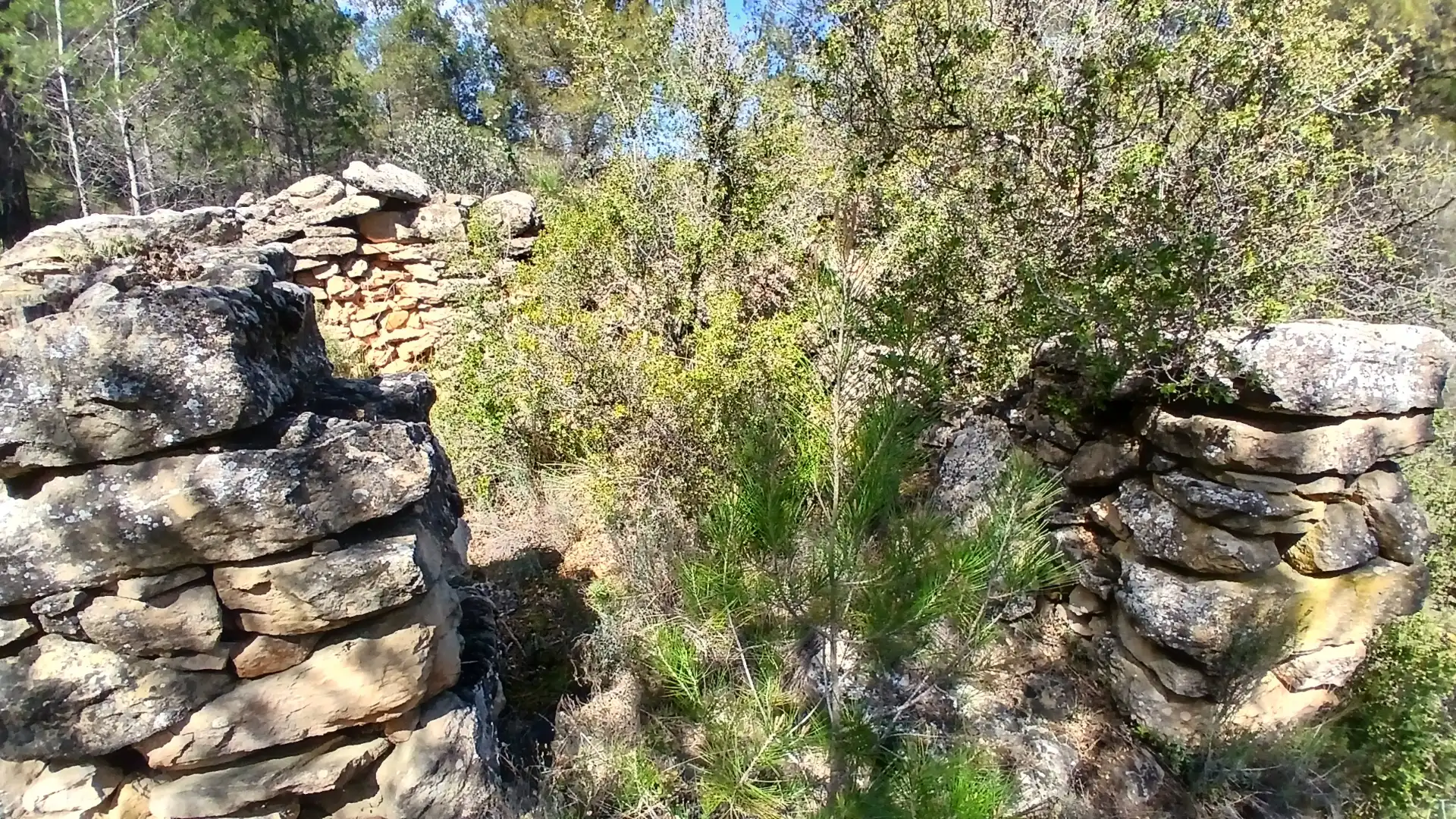Terreno en venta en Fórnoles