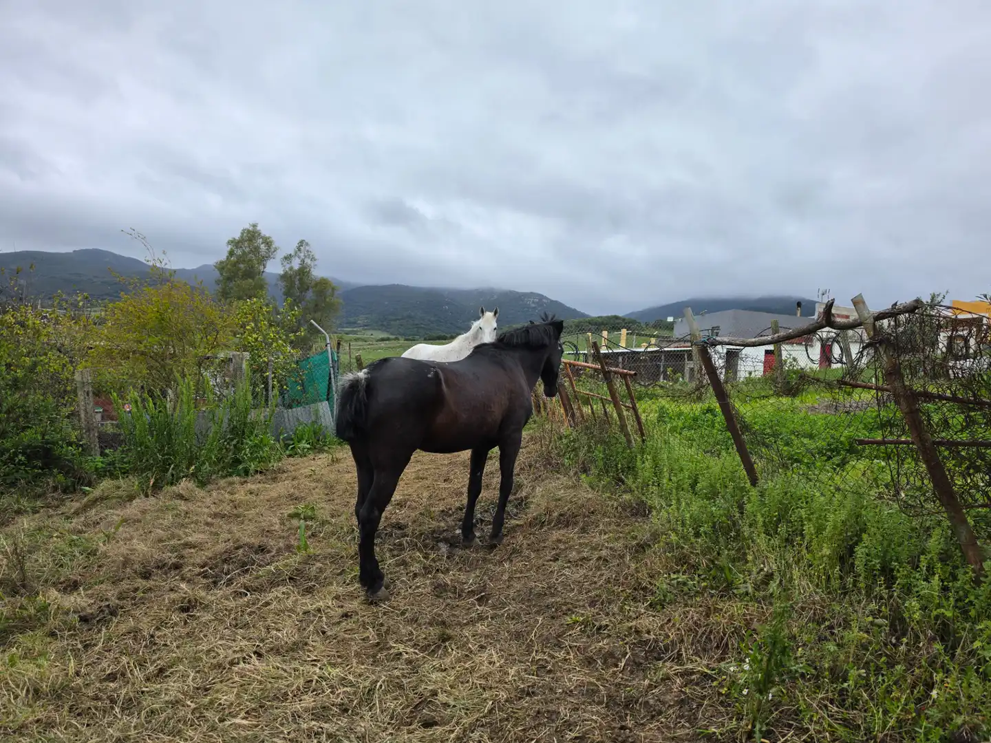 Terreni e lotti in vendita a La Granja - La Colina - Los Pastores, imagen 19