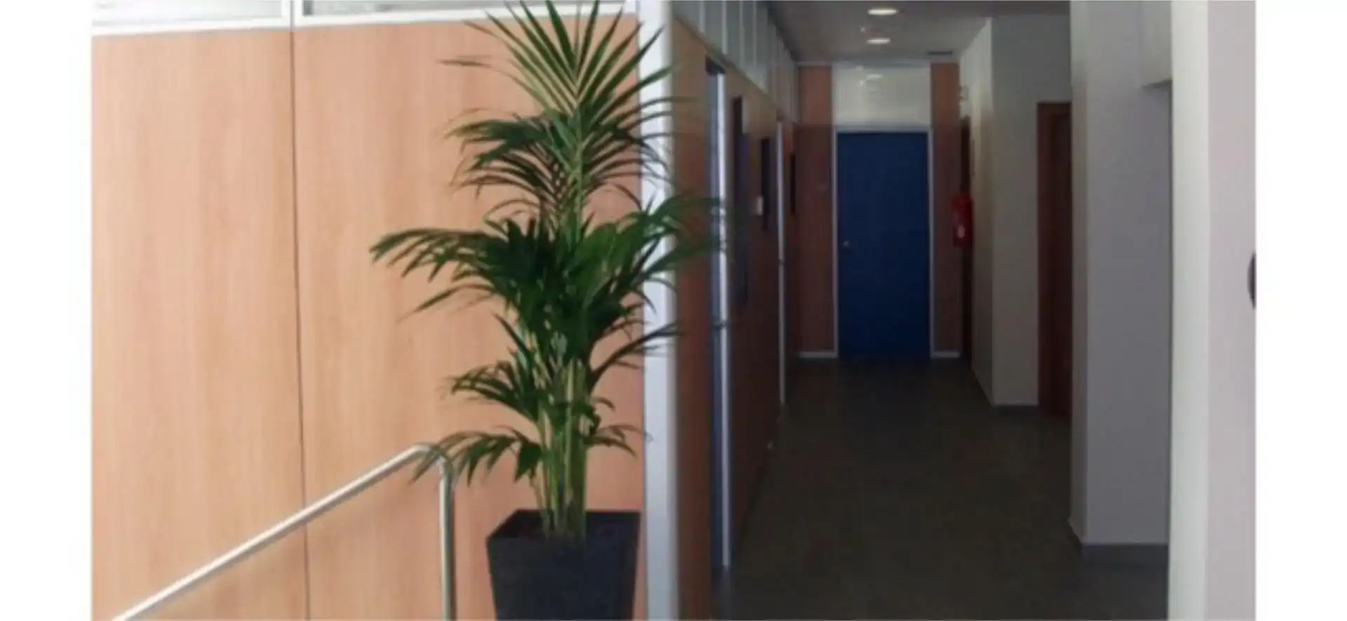Commercial properties for rent in Blanes  with Air Conditioner