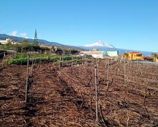 Finca rústica en venda en Tacoronte