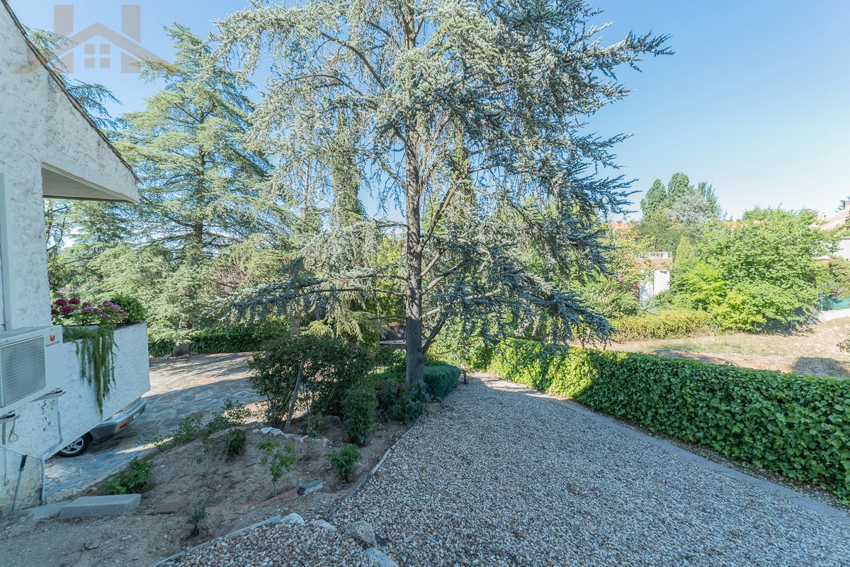 Jardí de Casa o xalet en venda en Tres Cantos amb Aire condicionat, Calefacció i Jardí privat