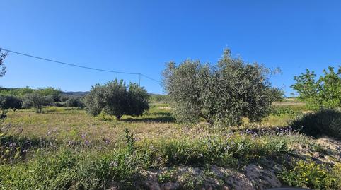 Foto 2 von Grundstücke zum Verkauf in Camino Paraje Los Garcias, Alquerías, Murcia Capital