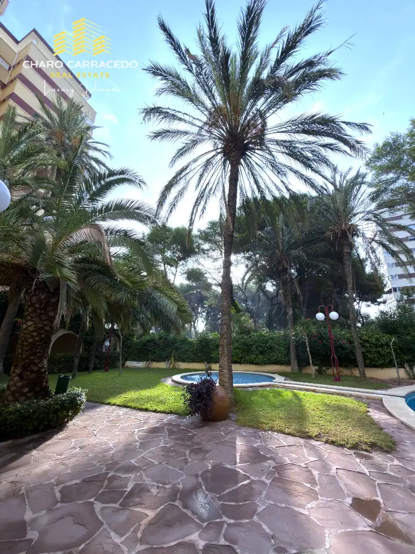 Jardí de Pis de lloguer en Valencia amb Aire condicionat, Jardí privat i Terrassa