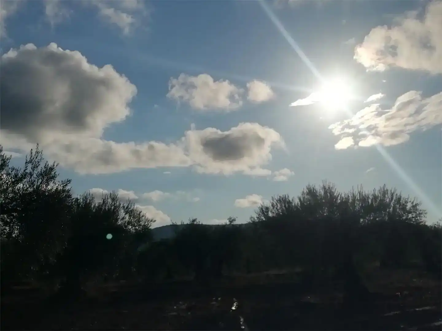 Vista exterior de Terreno en venta en Arroyomolinos (Cáceres)
