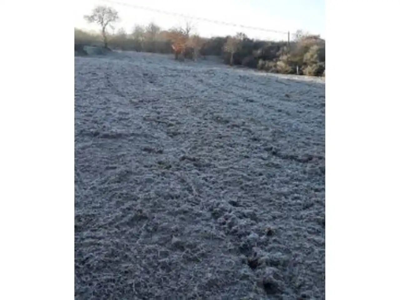Terrenys i solars en venda a Celanova, imagen 5