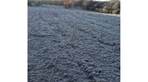 Se vende finca al lado de Celanova superficie 5.500 metros, immagine 5