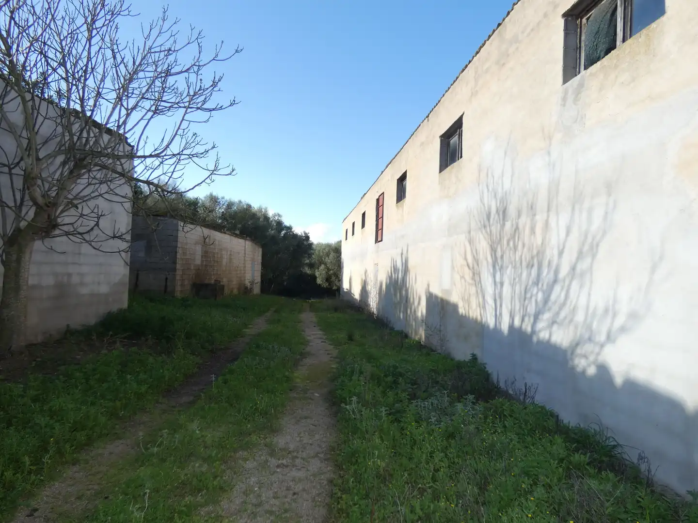 Terreny rústic en venda a Ariany, imagen 17