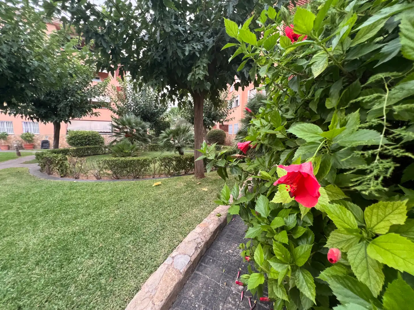 Baixos amb piscina en venda a Nord, imagen 27