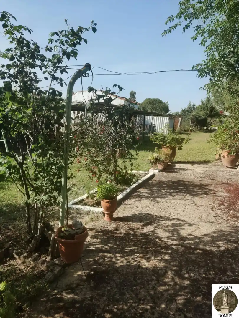 Jardí de Casa o xalet en venda en Cáceres amb Jardí privat, Terrassa i Traster