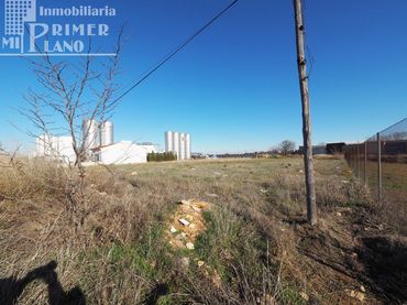 Terreni e lotti in vendita a Tomelloso
