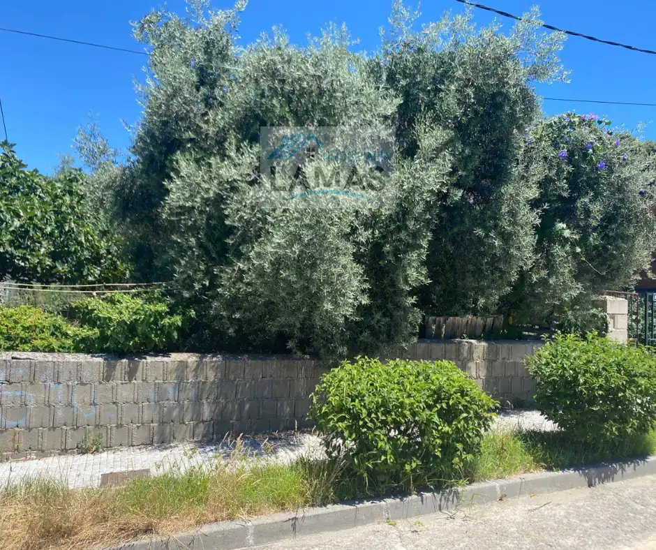 Terreni e lotti in vendita a Belvís de Monroy, imagen 2