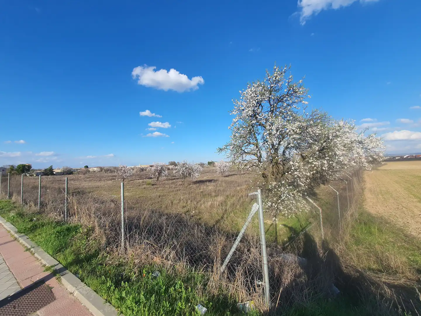 Terreno en venta en Ciempozuelos