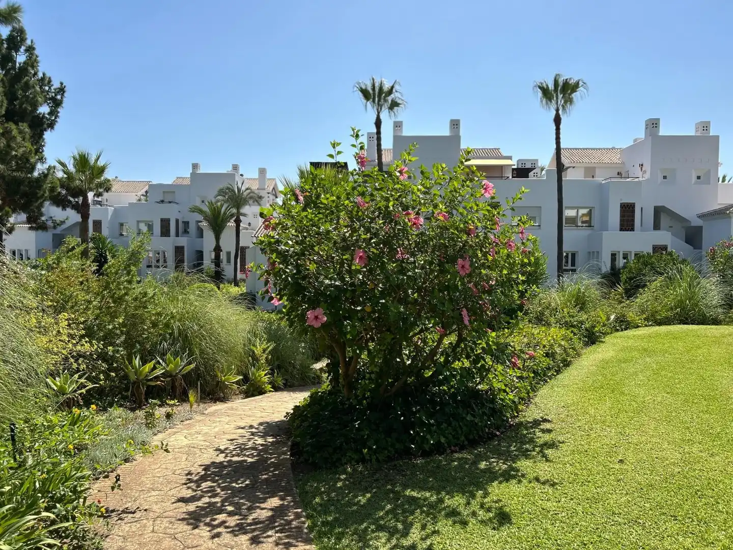 Bajo con piscina en venta en Urbanizacion Urbanización Monteros Palm Beach, imagen 84