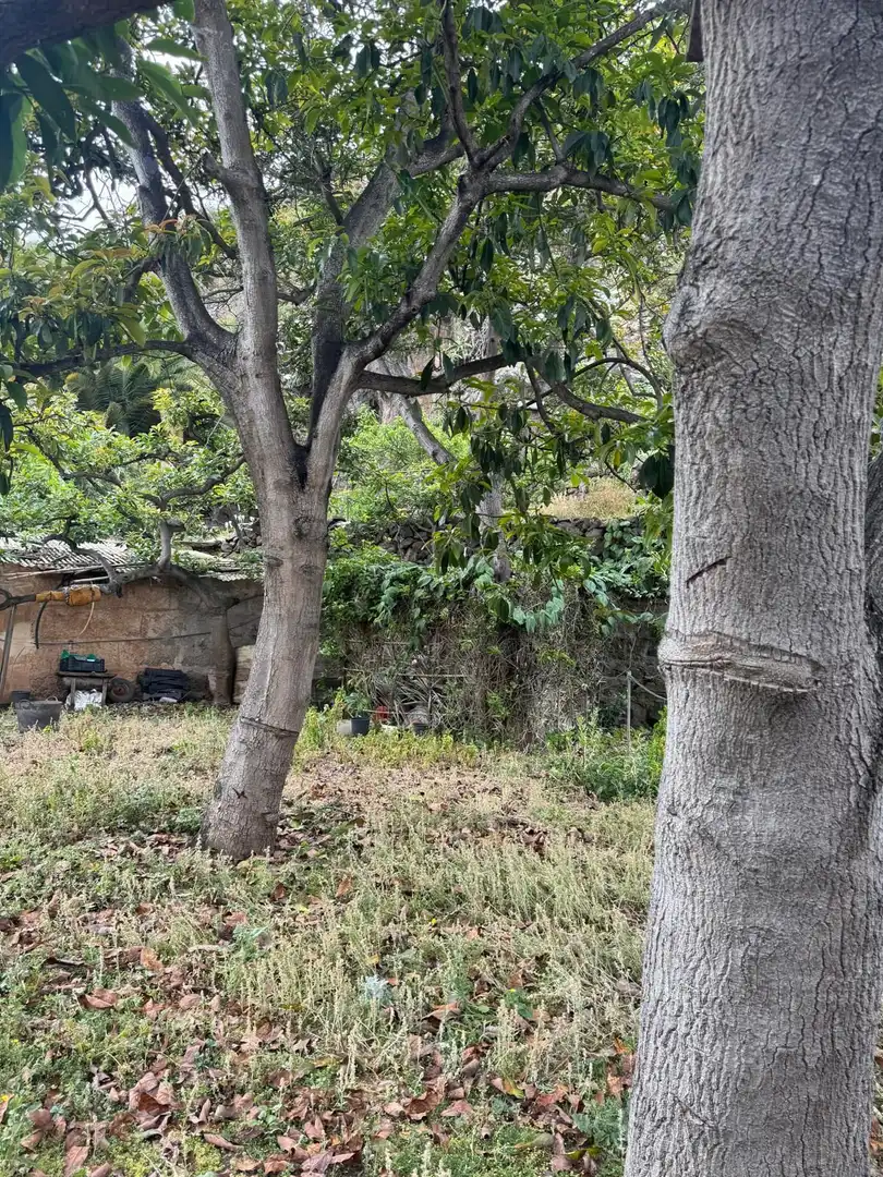 Terreny en venda en Icod de los Vinos