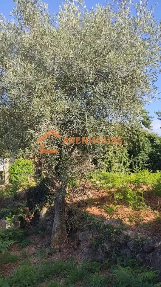 Casa o chalet en venta en A Bola  con Calefacción y Jardín privado