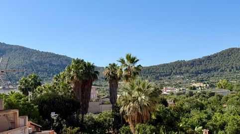 Foto 4 von Wohnungen zum Verkauf in Andratx pueblo, Andratx