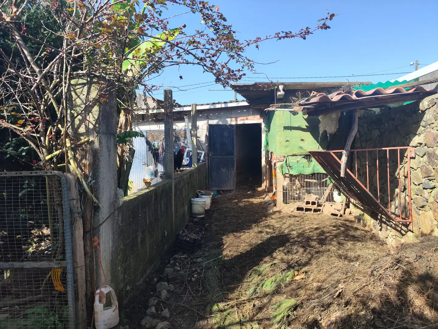 Exterior view of Houses for sale in Boqueixón