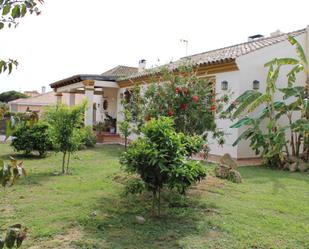 Jardí de Casa o xalet en venda en Lepe amb Aire condicionat, Jardí privat i Terrassa