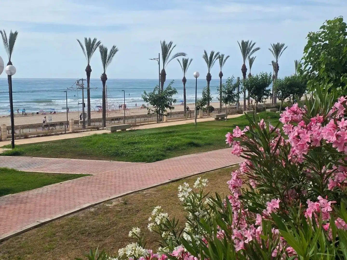 Exterior view of Flat for rent in Alicante / Alacant  with Swimming Pool, Furnished and TV