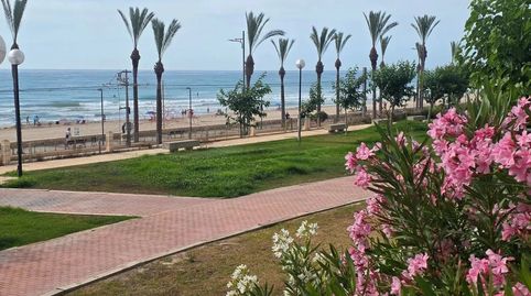 Photo 5 of Flat for rent in Carolinas Altas, Alicante / Alacant