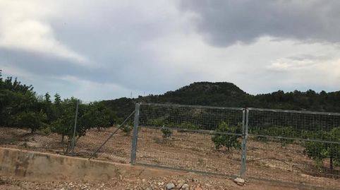 Partida La Lloma, immagine 3