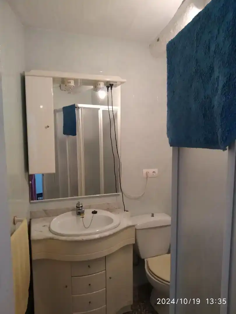Baño de Casa o chalet en venta en Palacios de Riopisuerga con Jardín privado, Parquet y Trastero