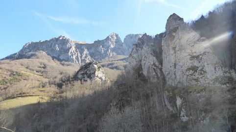 FINCA CON CABAÑA EN PLENA NATURALEZA, immagine 4