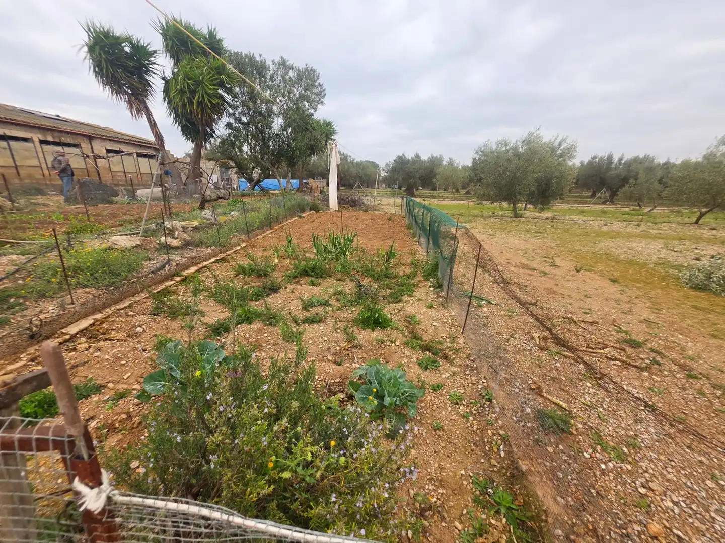 Terreno rustico in vendita a Santa Bàrbara, imagen 32