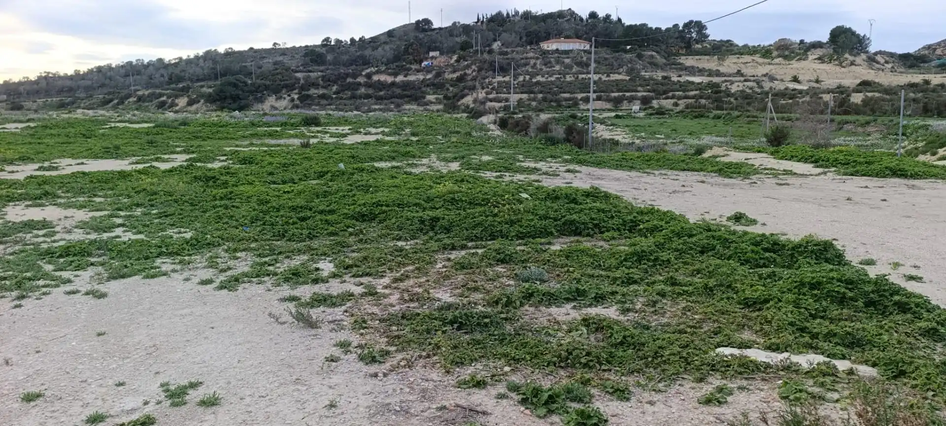 Land for sale in Aspe