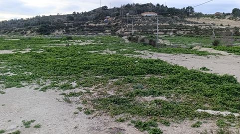Foto 4 de Terreny en venda a Pedanías Oeste, Aspe