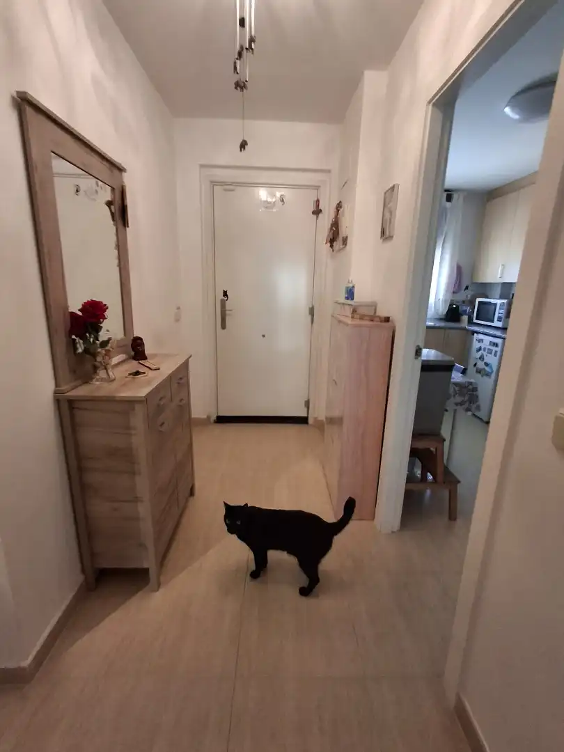 Casa a schiera in vendita a San Jorge / Sant Jordi, imagen 7