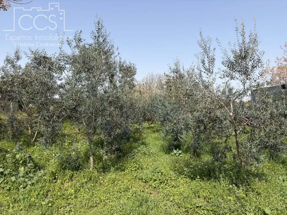 Country homes for sale in Pilas  with Swimming Pool