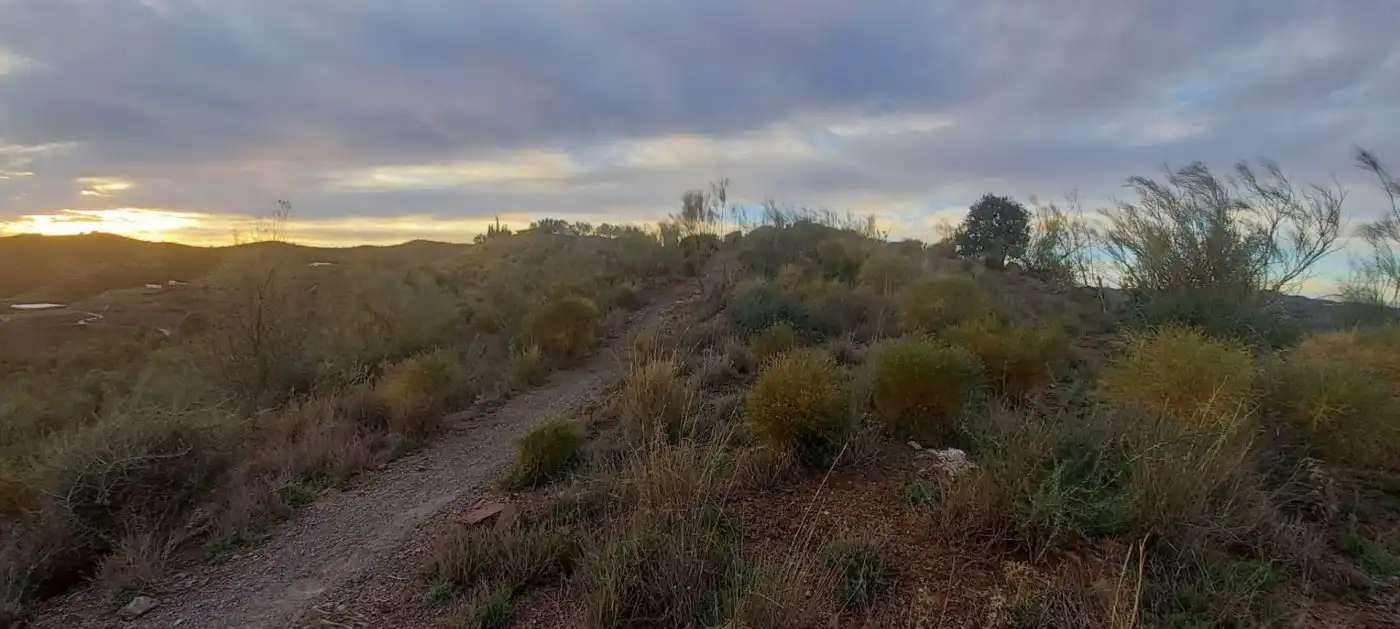 Terreni e lotti in vendita a Benajarafe, imagen 17