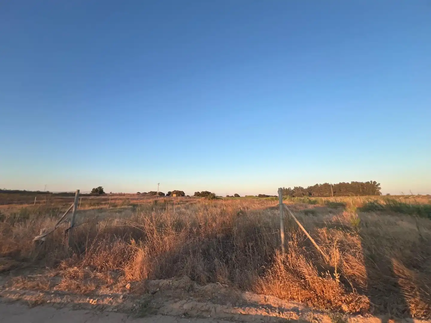 Terreny rústic en venda a Pedanías Norte, imagen 16